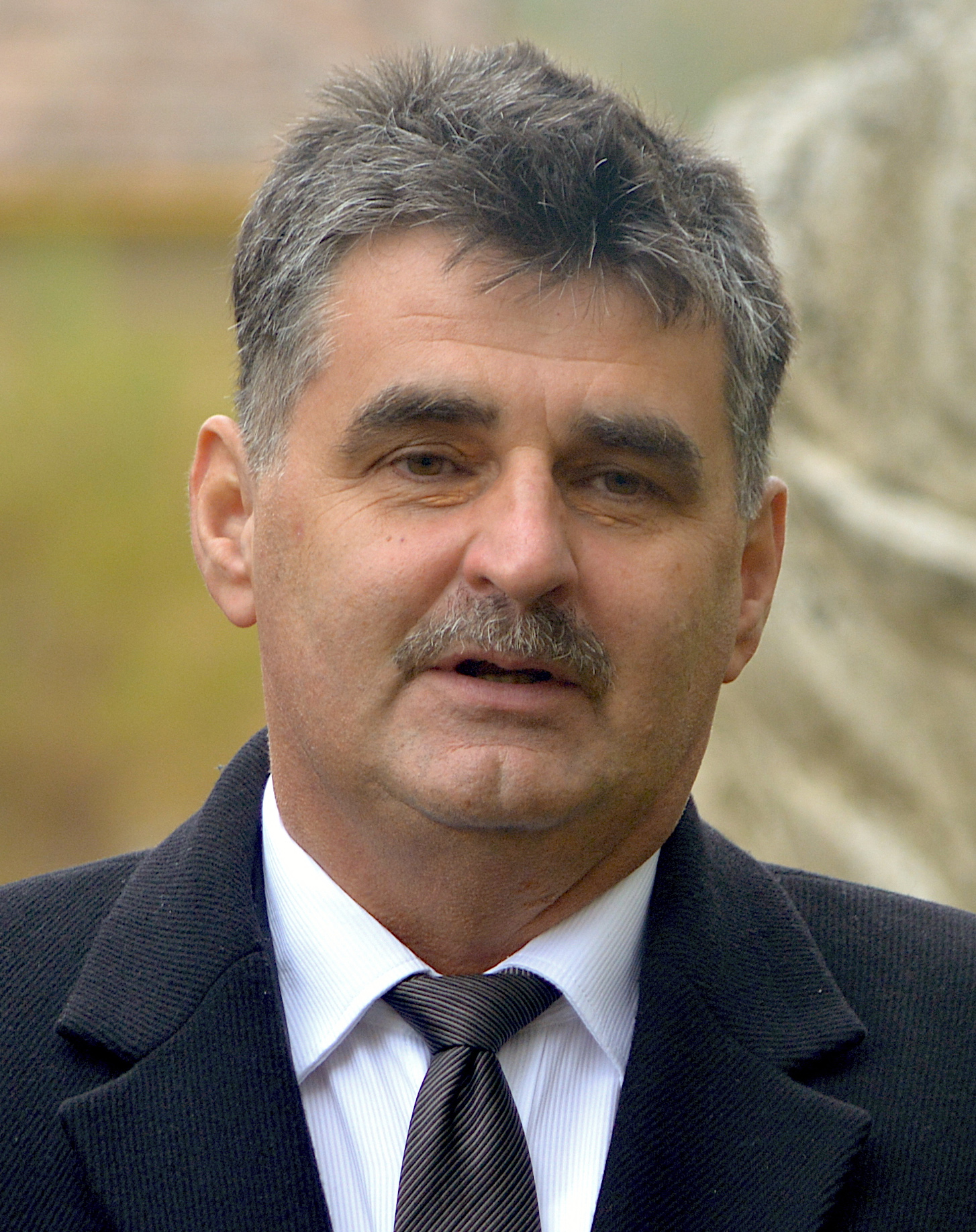 Pogácsás Tibor